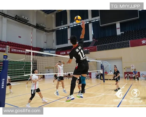 成都排球队在精英赛中的状态分析与表现评估