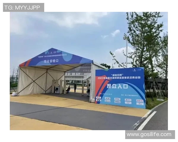 武汉排球队运营策略深度分析与发展前景探讨