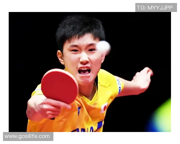 武汉乒乓球队实力分析与未来发展潜力的深度探讨