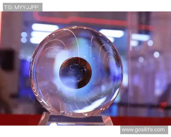 北京排球队的辉煌征程与突破时刻全景纪实